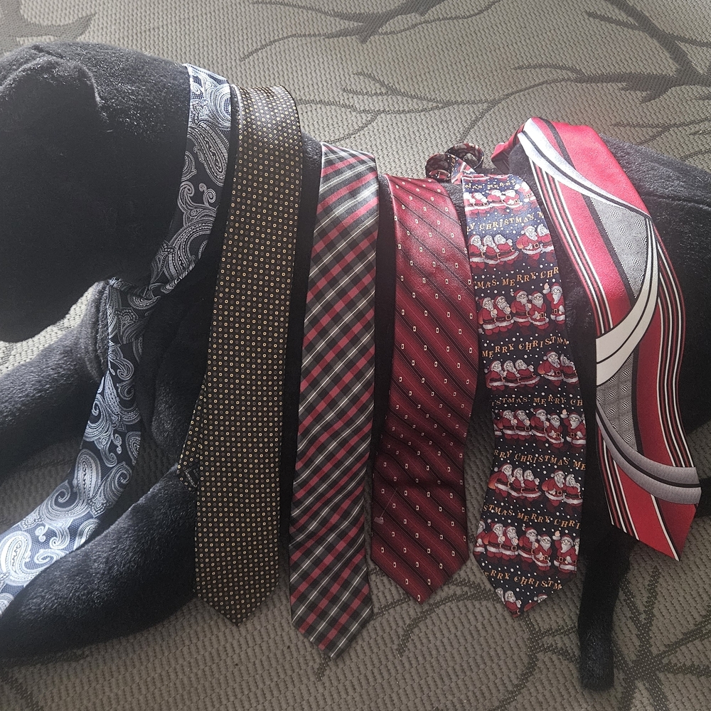 6 Assorted Men's Ties Collection